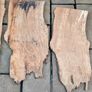 5 Live Edge Hardwood Slabs for Epoxy Resin / Coffee Tables Image 3