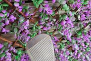 TaylorMade Wedge