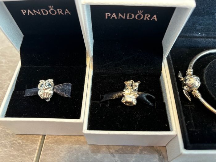 Pandora Harry Potter charms and bangles