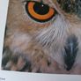 The Travelling Photographers Handbook / 1985/ 1st edition Image 9