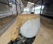 Haylage