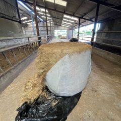 Haylage