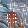 Acoustic Image 3