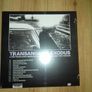 Ezra Furman - Transangelic exodus (Ltd edition lavender vinyl) Image 6