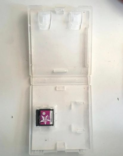 DS Diva Dancers game WITH CASE
