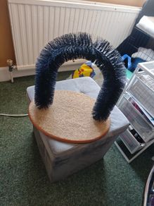 cat brush / scratcher