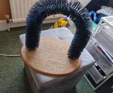 cat brush / scratcher