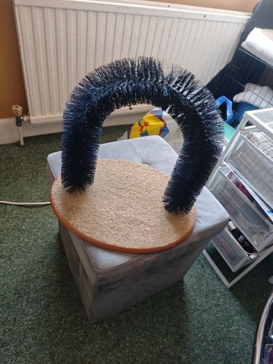 cat brush / scratcher