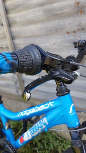 Ridgeback MX20
