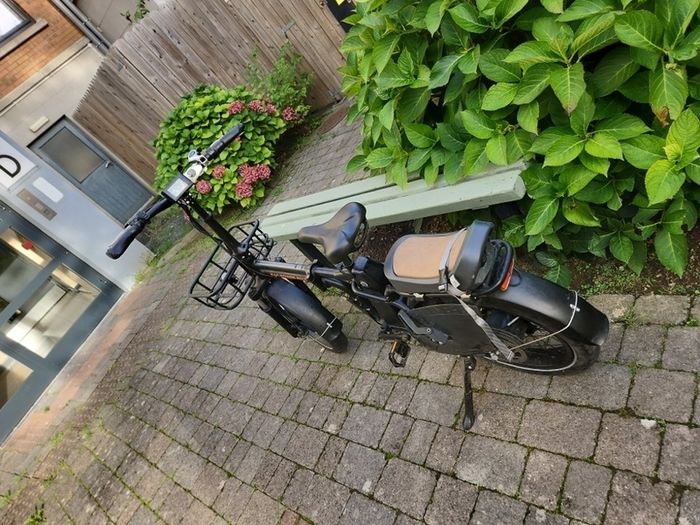 Ebikes-Rad Power