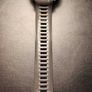 Garmin Instinct 2 Solar Rugged Smartwatch Image 3