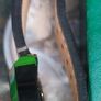 CHRONOSTAR   Watch In Perfect Running Order. Image 4
