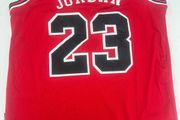 Bulls jersey Jordan 23