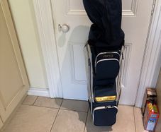 Ping golf bag