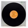 Sample Charley Pride Vinyl Album Image 3