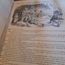 Antique Punch Volumes 81-84 Image 5