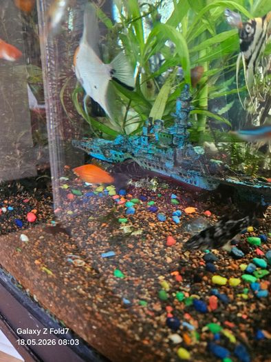aquarium with fish and full equipment