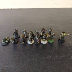 warhammer 40k old  Valhallan Ice Warriors