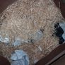 Large Box Hamper etc Image 2