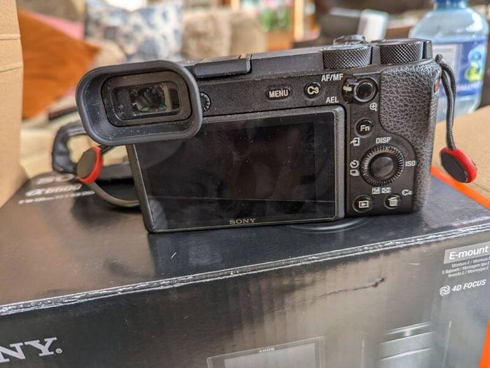 sony alpha a6600