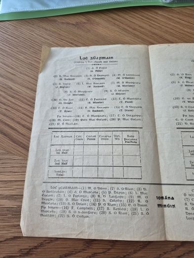 1956 wexford v laois leinster hurling