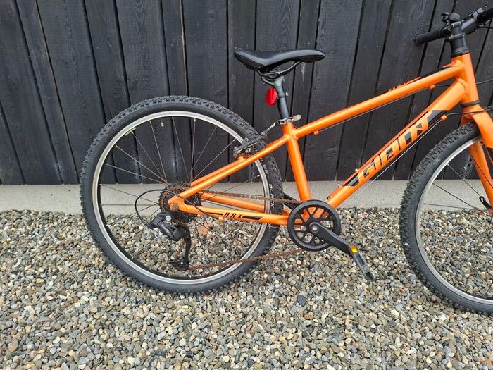 Giant ARX 24 inch kids bike