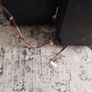 bang and Olufsen speakers Image 2