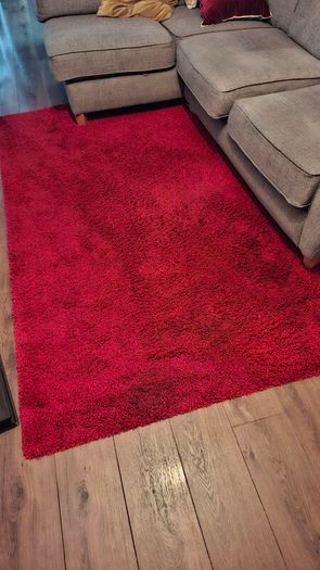red shaggy rug