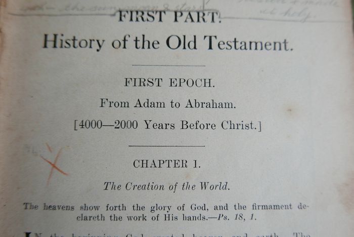The Illustrated Bible History (Rev. I. Schuster - 1925)