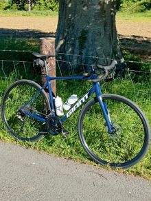 Giant Contend SL1 Disc