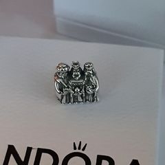 New genuine 14k/silver pandora charm