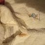 Peter rabbit snowsuit and baby gro bib Image 2