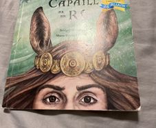 Irish language children's book
