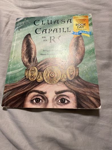 Irish language children's book