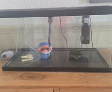 60 Litre Aquarium