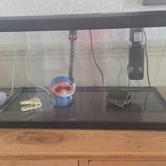 60 Litre Aquarium