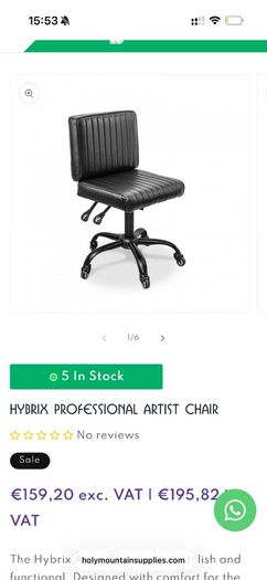 Professional Artist Chair