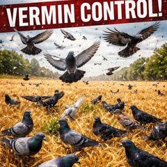 vermin control