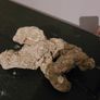marine rocks Image 3