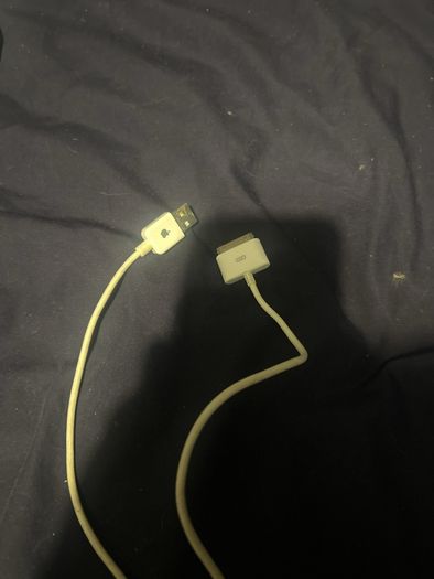 Apple iPod