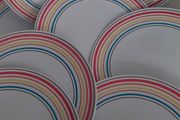 4 new rainbow plates camping/picnics