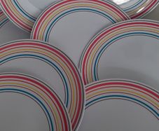 4 new rainbow plates camping/picnics