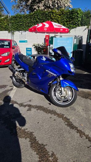 2003 Honda Blackbird
