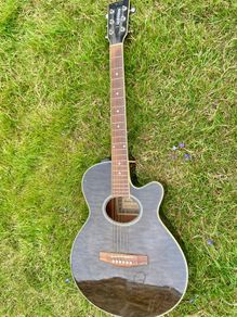 Harley benton guitar