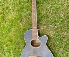 Harley benton guitar