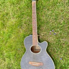 Harley benton guitar