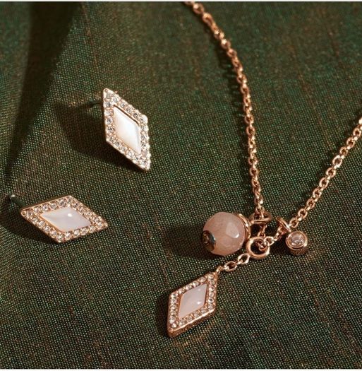 Fossil Set Rose Gold