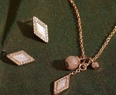 Fossil Set Rose Gold