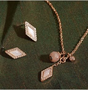 Fossil Set Rose Gold