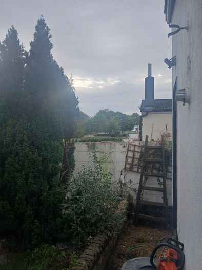 Garden services